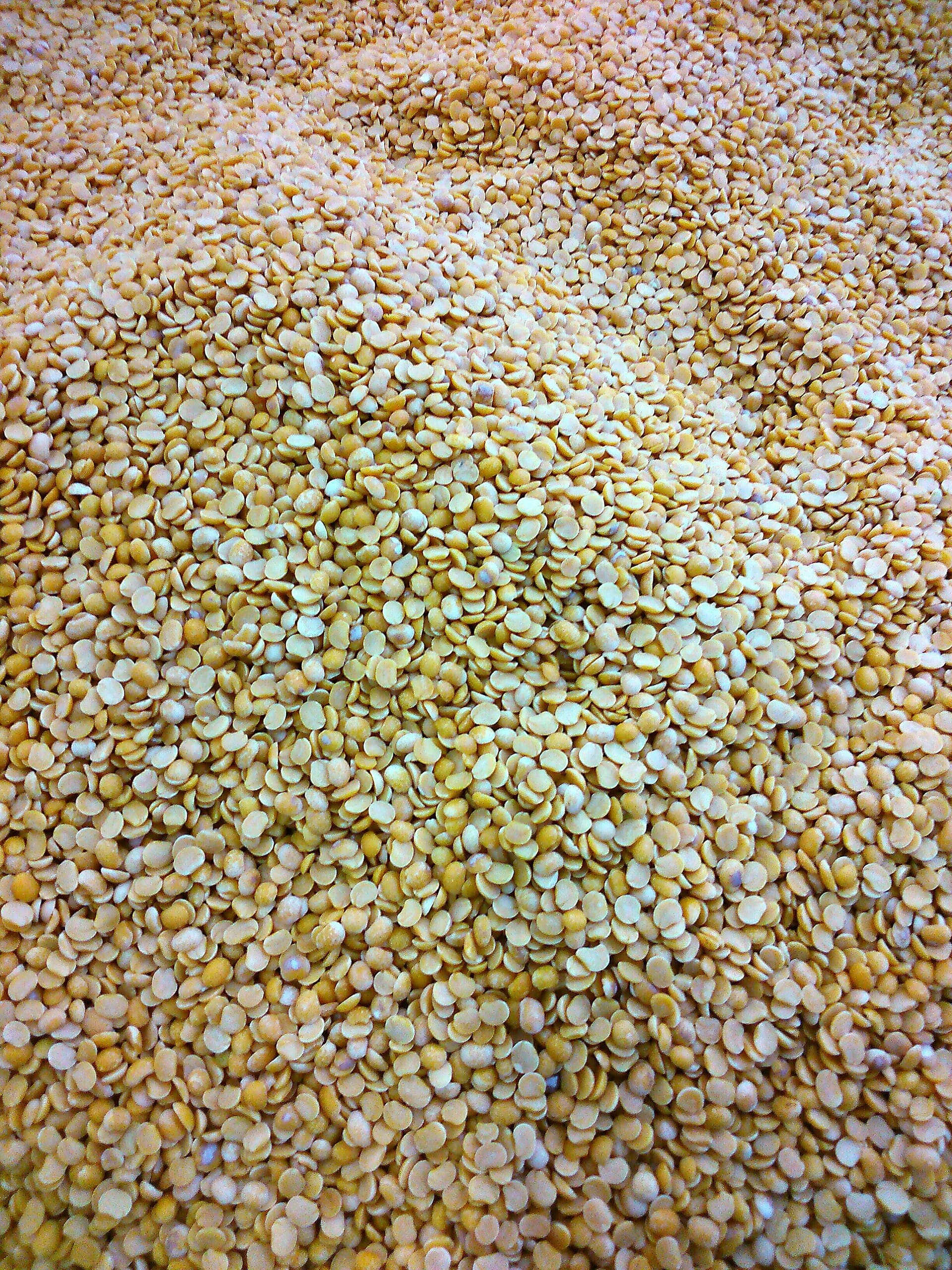 Toor Dal lentils